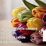 Apartmán Rainbow *